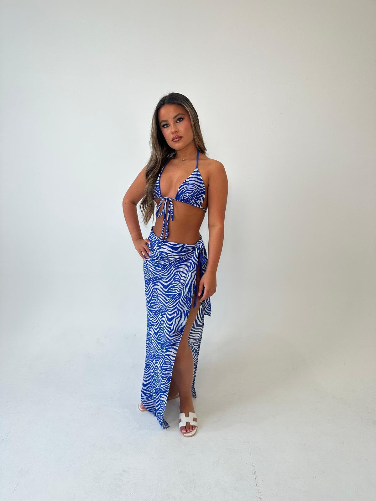 Blue zebra 3 piece